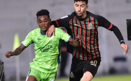 البطولة برو .. هذه نتائج الدورة 29