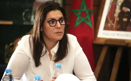 جون أفريك تتوقع رئاسة المنصوري لحكومة المونديال