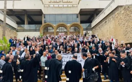 اتهامات ثقيلة تهز هيئة المحامين بالبيضاء.. محامية تجر نقباء إلى قاضي التحقيق