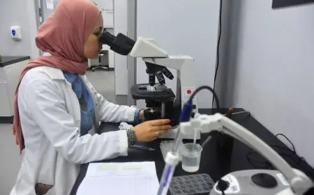 باحثون مغاربة يمنحون المملكة صدارة البحث العلمي في إفريقيا