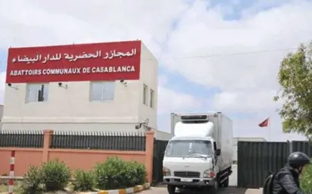شركة الدار البيضاء للخدمات تنفي توقف المجازر خلال عيد الأضحى