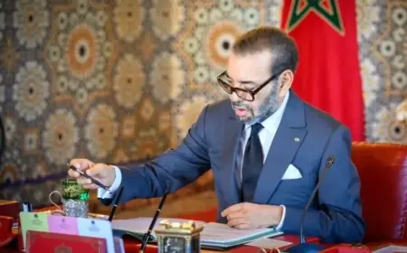 الملك محمد السادس يعين هشام بلاوي رئيسا للنيابة العامة