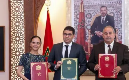 المغرب يطلق تكوينات جامعية ومهنية في صناعة الألعاب الإلكترونية