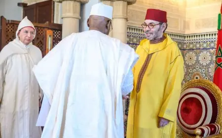 الملك محمد السادس يستقبل سفراء 15 دولة ويستلم أوراق اعتمادهم