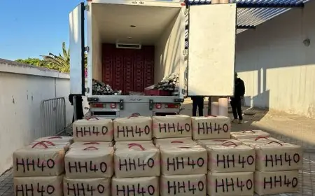 الصويرة.. ضبط شاحنة محملة بطن ونصف من الشيرا وتوقيف شخصين