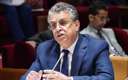 وهبي يكشف عن فضيحة: جمعية لمحاربة الرشوة كان "مول الماستر بأكادير" يترأسها ولديها شراكة مع وزير عدل سابق