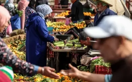 فتاح: أكثر من 15 ألف مخالفة في الأسعار خلال ثلاث سنوات