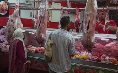 أسعار "الدوارة" تتجاوز أثمان اللحوم الحمراء مع اقتراب العيد