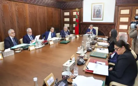 مجلس الحكومة يصادق على تعيينات جديدة في مناصب عليا
