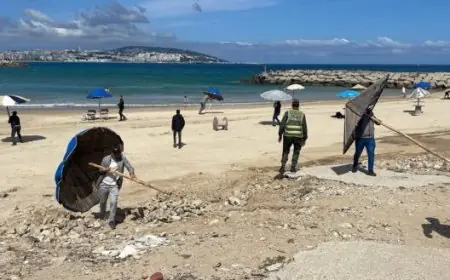 السلطة المحلية بطنجة تشن حملة شرسة لتحرير الملك البحري