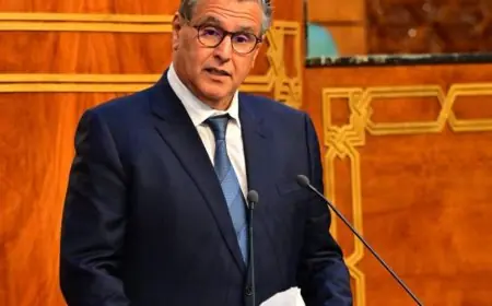 أخنوش يعلن عن برنامج جديد لرفع الصادرات المغربية ما بين 2025 و2027