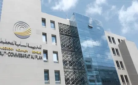 مندوبية التخطيط: أزيد من 2 مليون وحدة إنتاجية بالقطاع غير المنظم
