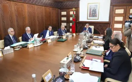 الحكومة تصادق على تعيينات جديدة في مناصب عليا بعدة قطاعات