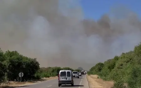لليوم الخامس.. فرق الإطفاء تكافح حريق غابة هوارة بطنجة وتقترب من السيطرة