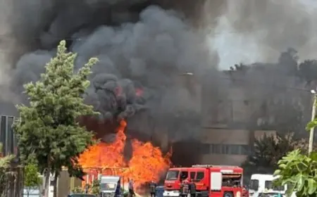 طنجة.. توقيف مشتبه فيه بإضرام النار في 12 محلا لبيع القصب