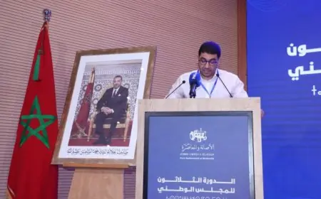 بنسعيد يؤكد انسجام مكونات الأغلبية الحكومية