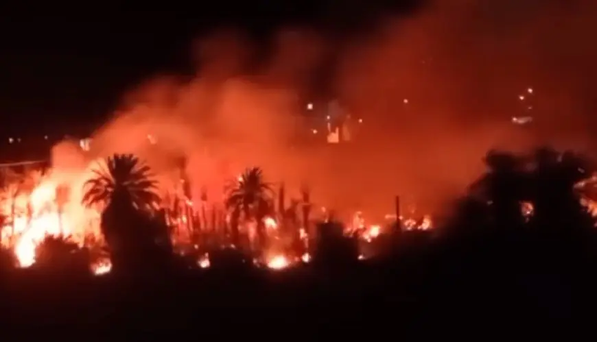 حريق مهول يلتهم واحة الزاك بكلميم وسط جهود لاحتوائه