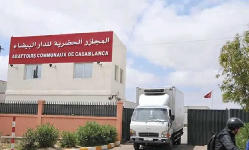 شركة الدار البيضاء للخدمات تنفي توقف المجازر خلال عيد الأضحى