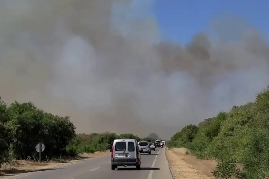 لليوم الخامس.. فرق الإطفاء تكافح حريق غابة هوارة بطنجة وتقترب من السيطرة