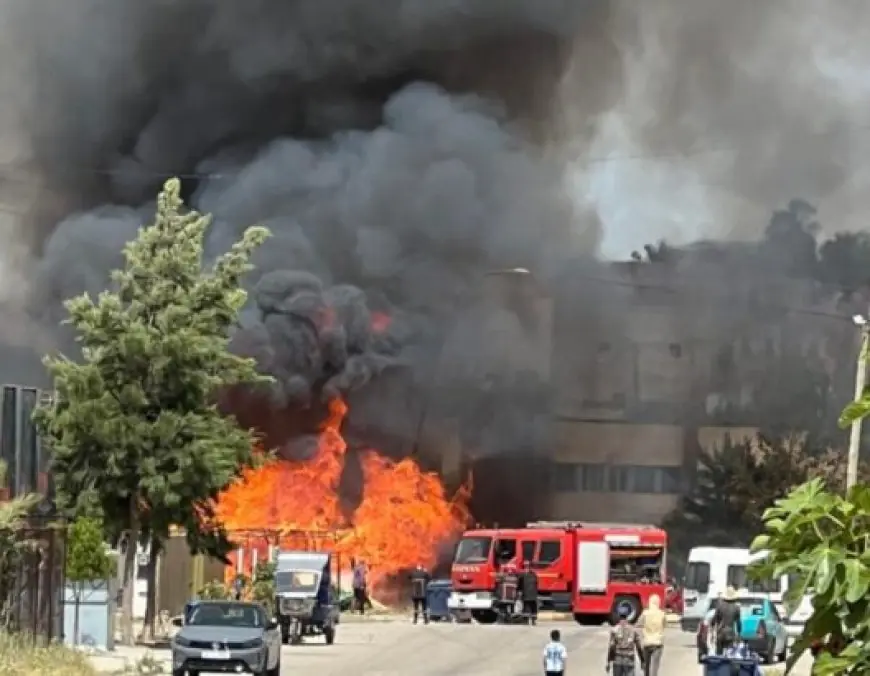 طنجة.. توقيف مشتبه فيه بإضرام النار في 12 محلا لبيع القصب