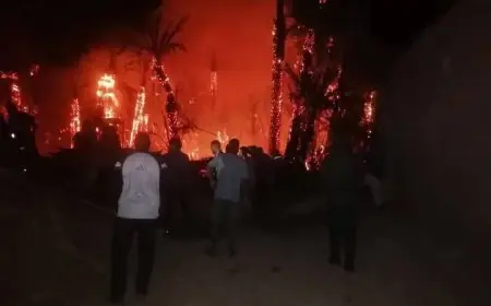 اندلاع حريق مهول بواحة “امغي أكادير الهنا” بإقليم طاطا