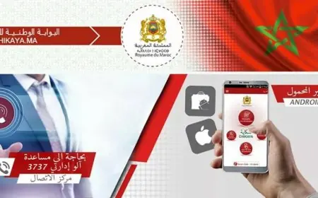 البوابة الوطنية للشكايات تتوصل بـ176 ألف شكاية في عام واحد و76 بالمائة منها عولجت