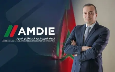 هدر  أموال بالملايير على مشاركة وكالة "AMDIE" بمعارض دولية بدون أي عوائد يلاحق "الصديقي"