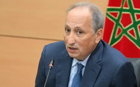 الوزير برادة يدافع عن تعويض “مليون محفظة” بالدعم المباشر للأطفال المتمدرسين