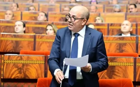 وزير الفلاحة: المغرب استورد 1922 طن من اللحوم و 238 ألف رأس من الأغنام