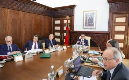مجلس الحكومة يصادق على مشروع المرسوم المتعلق بتحديد اختصاص المؤسسات الجامعية وأسلاك الدراسات العليا
