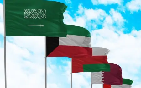 دول الخليج تجدد دعمها لمغربية الصحراء أمام اللجنة الأممية الـ24
