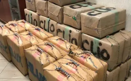 إحباط محاولة تهريب 7 أطنان من الشيرا بسواحل الصويرة