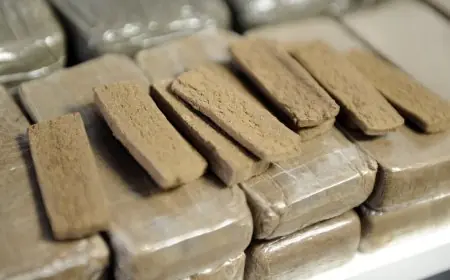 إحباط محاولة تهريب 5 أطنان من مخدر الشيرا بميناء طنجة المتوسط