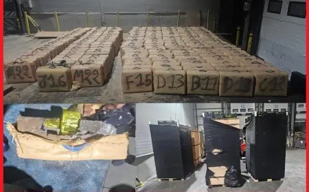 إحباط محاولة تهريب أكثر من 7 أطنان من الشيرا بميناء طنجة المتوسط