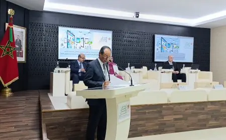 المجلس الاقتصادي والاجتماعي يناقش فرص وتحديات التشغيل اللانمطي بالرباط