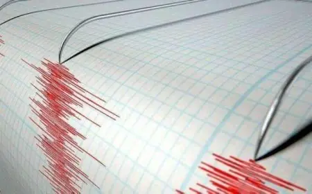 زلزال بقوة 5.8 يضرب سواحل جنوب المكسيك