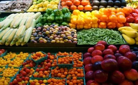 المنتجات الفلاحية المغربية تثير قلق المزارعين الإسبان مع ارتفاع الواردات بنسبة 24%