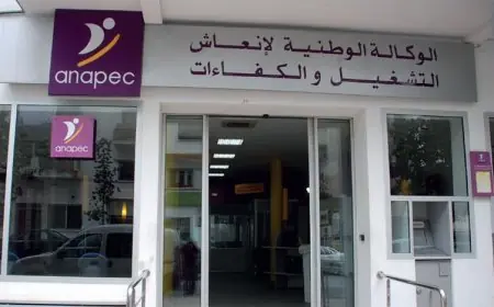 تفاصيل جديدة في قضية إعفاء السكوري للمديرة العامة لأنابيك