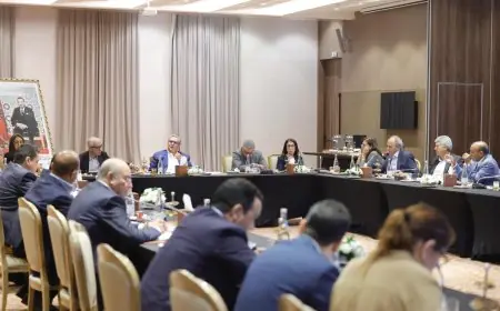 "الأحرار" يشيد بالمكاسب الدبلوماسية والتحولات التنموية بأكادير