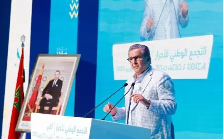 بالفيديو.. أخنوش: الحكومة تلتزم بمواصلة العمل إلى آخر دقيقة وحملات التشويش لن توقفنا