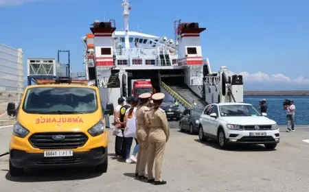 "نارسا" تُلزم المغاربة بتعديل لوحات سياراتهم قبل السفر إلى الخارج تماشياً مع القانون