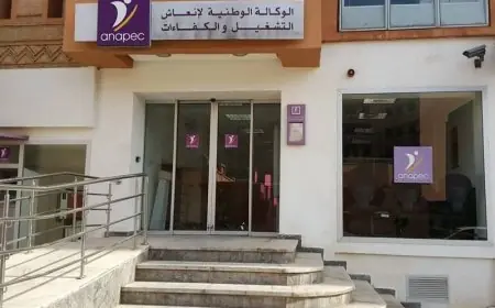 فضيحة جديدة للوزير السكوري.. مديرة لانابيك تتهم الكاتبة العامة التي عينها الوزير بانتحال صفة