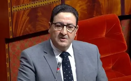 وزير النقل يكشف عن منحة لتجديد أسطول النقل المزدوج في القرى والمناطق الجبلية