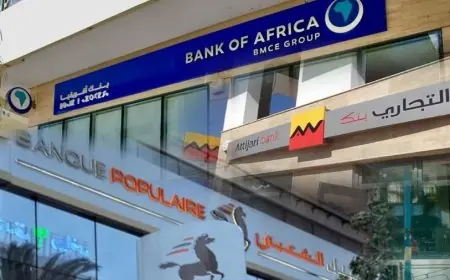 الديون المتعثرة تواصل الارتفاع وتصل إلى 8.7% من إجمالي القروض البنكية في المغرب