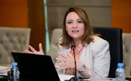 عزيز أخنوش يوافق على قرار إعفاء مديرة “أنابيك” إيمان بلمعطي من مهامها