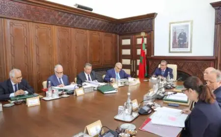 تعيينات جديدة في مناصب عليا تشمل قطاعات وزارية متعددة
