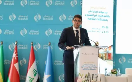 بنسعيد: الاتجار غير المشروع بالممتلكات الثقافية جريمة تمس الذاكرة الجماعية