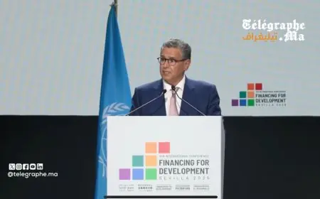 بالفيديو.. أخنوش من إشبيلية: المغرب بقيادة جلالة الملك يواصل تعزيز إصلاحاته الهيكلية في المجالات ذات الأولوية