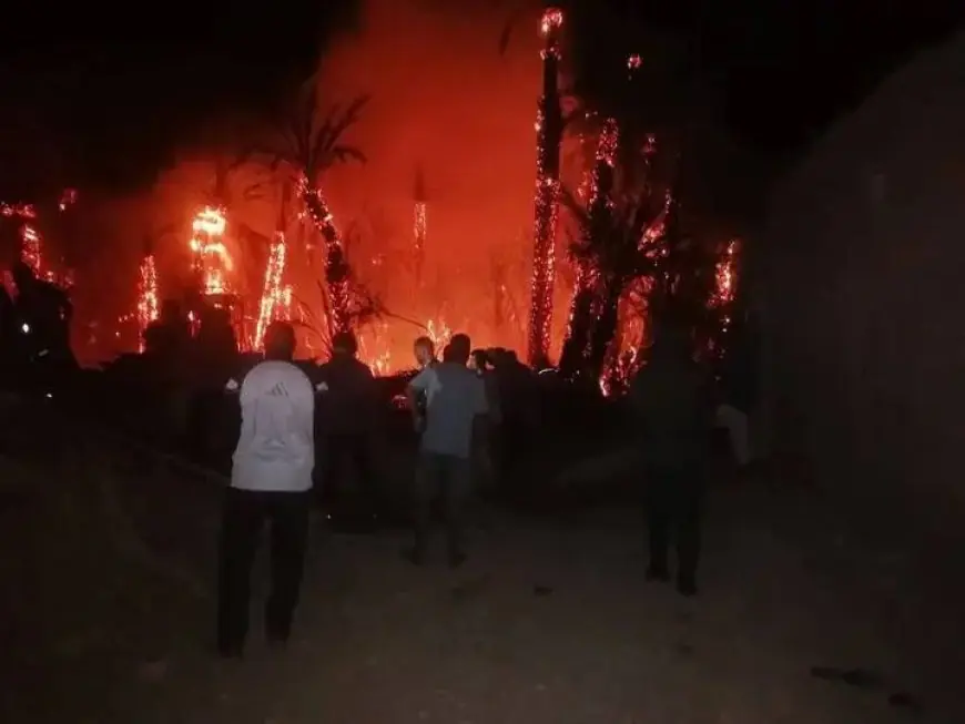 اندلاع حريق مهول بواحة “امغي أكادير الهنا” بإقليم طاطا