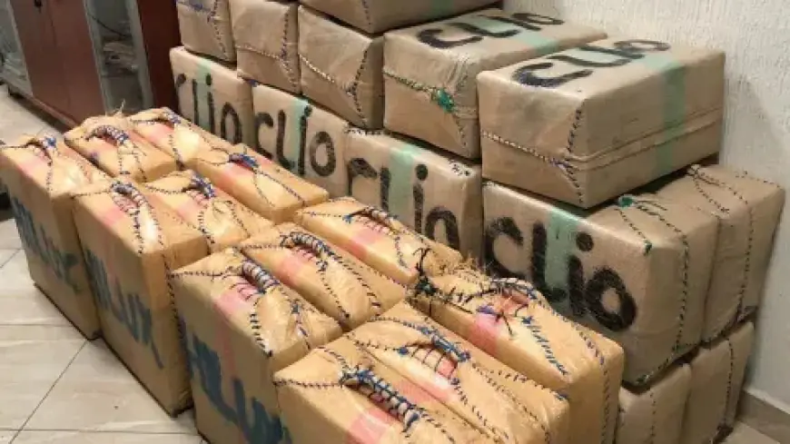 إحباط محاولة تهريب 7 أطنان من الشيرا بسواحل الصويرة